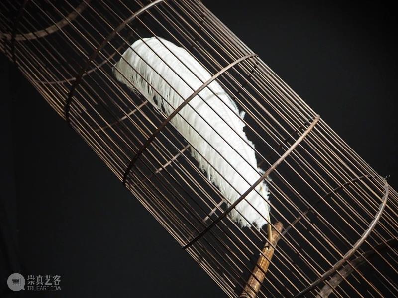新展开放 | 房间剧场 Room Theatre 盒子空间 崇真艺客